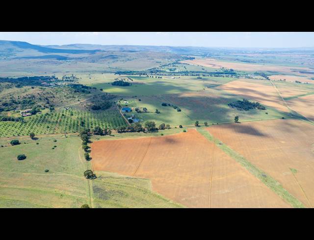 FARM FOR SALE IN HEIDELBERG AH